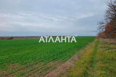 Участок (площадь 130 сот) - Atlanta.ua - фото 9