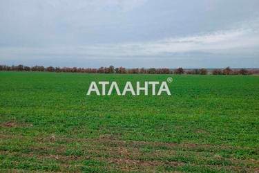Участок (площадь 130 сот) - Atlanta.ua - фото 10