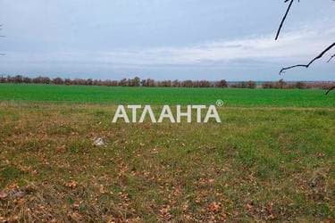 Участок (площадь 130 сот) - Atlanta.ua - фото 11