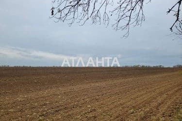 Landplot by the address (area 256 acr) - Atlanta.ua - photo 6
