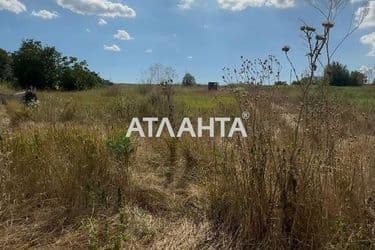 Landplot by the address st. Shevchenko (area 13 acr) - Atlanta.ua - photo 10