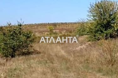 Landplot by the address (area 477 acr) - Atlanta.ua - photo 10