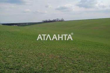 Landplot by the address (area 477 acr) - Atlanta.ua - photo 11