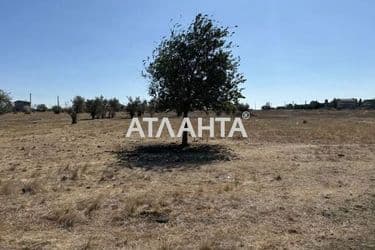 Landplot by the address st. Chernovola (area 8 acr) - Atlanta.ua - photo 6