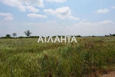 Landplot by the address st. Vostochnaya (area 10 acr) - Atlanta.ua - photo 6