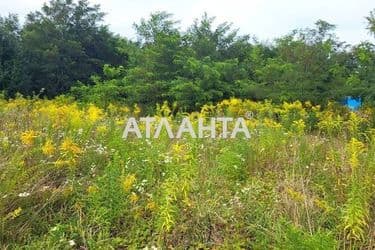 Landplot by the address (area 10 acr) - Atlanta.ua - photo 18