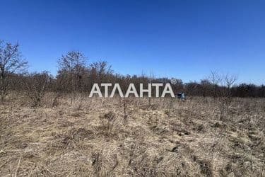 Landplot by the address (area 10 acr) - Atlanta.ua - photo 14