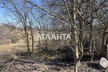 Landplot by the address (area 23,9 acr) - Atlanta.ua - photo 14