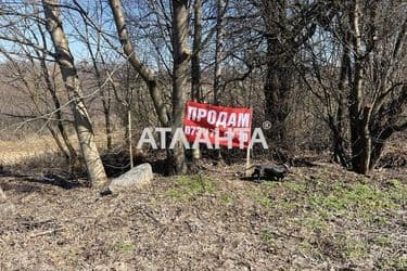 Landplot by the address (area 23,9 acr) - Atlanta.ua - photo 16
