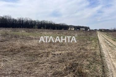Landplot by the address st. Yablonevaya (area 10 acr) - Atlanta.ua - photo 13