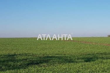 Landplot by the address st. Nikolaevskaya (area 10,0 acr) - Atlanta.ua - photo 7