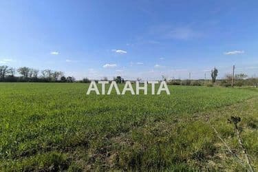 Landplot by the address (area 580 acr) - Atlanta.ua - photo 9