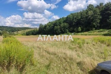 Landplot by the address (area 32,7 acr) - Atlanta.ua - photo 6