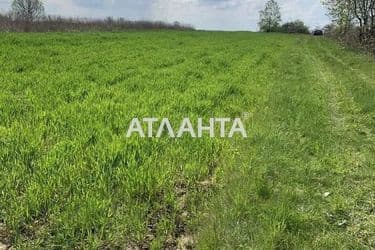 Landplot by the address (area 19 acr) - Atlanta.ua - photo 8