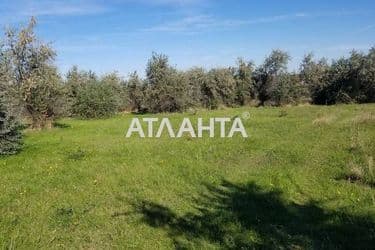 Landplot by the address (area 9,9 acr) - Atlanta.ua - photo 8