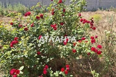 Будинок за адресою вул. 150 років Таїрова (площа 239,8 м²) - Atlanta.ua - фото 86