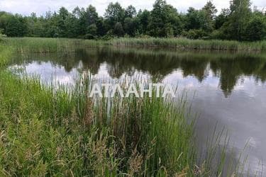Ділянка за адресою вул. Незалежності (площа 200 сот) - Atlanta.ua - фото 20