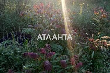 Участок по адресу (площадь 5,8 сот) - Atlanta.ua - фото 9