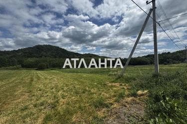 Landplot by the address st. Bridok (area 15 acr) - Atlanta.ua - photo 13