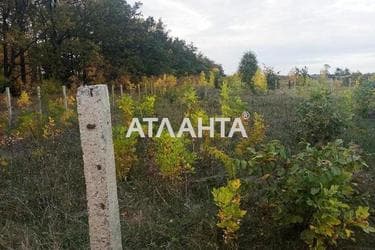 Landplot by the address (area 11,6 acr) - Atlanta.ua - photo 6