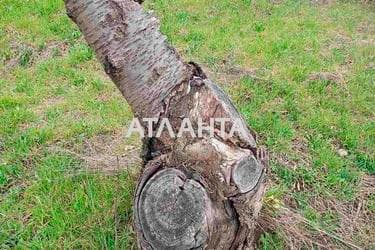 Будинок за адресою (площа 45 м²) - Atlanta.ua - фото 60