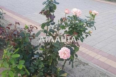 1-room apartment apartment by the address st. Stroitelnaya (area 40,9 m²) - Atlanta.ua - photo 21