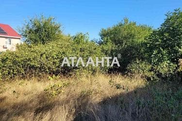 Landplot by the address (area 5,5 acr) - Atlanta.ua - photo 7