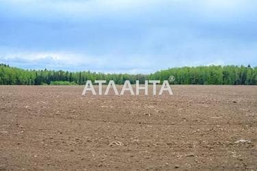 Участок по адресу (площадь 220 сот) - Atlanta.ua - фото 12