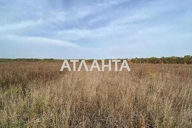 Ділянка за адресою (площа 10 сот) - Atlanta.ua - фото 10