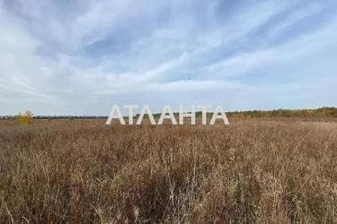 Landplot by the address (area 10 acr) - Atlanta.ua - photo 8