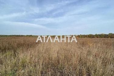 Landplot by the address (area 10 acr) - Atlanta.ua - photo 10