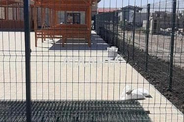 Ділянка за адресою (площа 10 сот) - Atlanta.ua - фото 10