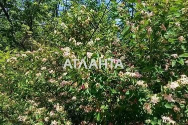 Участок по адресу (площадь 6 сот) - Atlanta.ua - фото 10