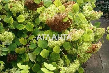 Landplot by the address st. Pedagogicheskaya (area 9,3 acr) - Atlanta.ua - photo 9