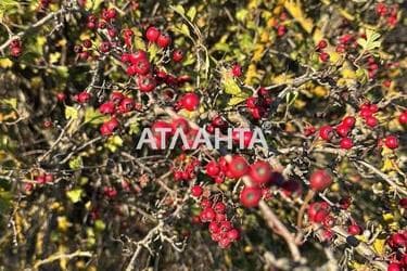 Дача за адресою (площа 45 м²) - Atlanta.ua - фото 45