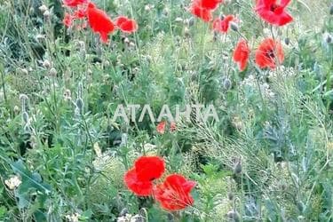 Участок по адресу ул. Корабельная (площадь 8 сот) - Atlanta.ua - фото 10