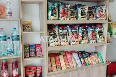 Комерційна нерухомість за адресою вул. Орлика (площа 0) - Atlanta.ua - фото 11