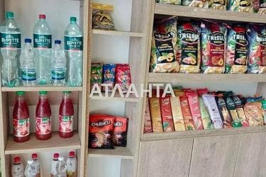 Комерційна нерухомість за адресою вул. Орлика (площа 0) - Atlanta.ua - фото 12