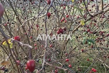 Дом по адресу ул. Морская (площадь 160 м²) - Atlanta.ua - фото 16