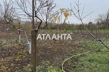 Будинок (площа 46 м²) - Atlanta.ua - фото 48