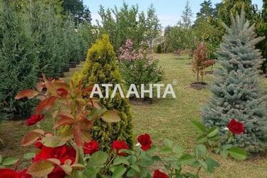 House (area 76,6 m²) - Atlanta.ua - photo 33