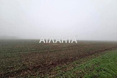 Участок (площадь 460 сот) - Atlanta.ua - imageAlt 16