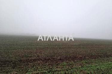 Участок (площадь 460 сот) - Atlanta.ua - imageAlt 18