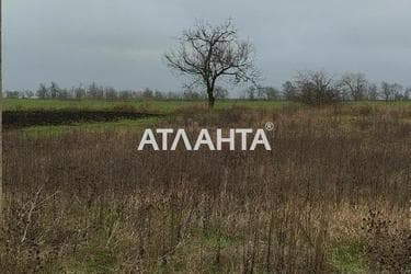 Участок по адресу ул. Лянного ак. (площадь 6 сот) - Atlanta.ua - фото 11