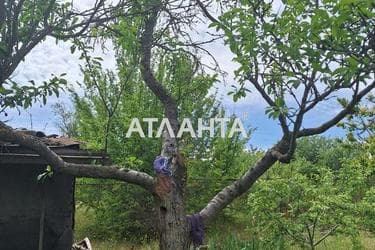 Дача по адресу (площадь 64 м²) - Atlanta.ua - фото 37