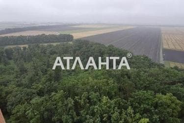 1-комнатная квартира по адресу Овидиопольская дор. (площадь 39,9 м²) - Atlanta.ua - фото 15