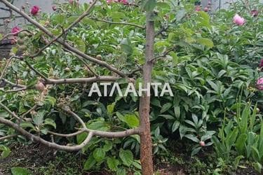 Будинок за адресою вул. Дніпровська (площа 99 м²) - Atlanta.ua - фото 78