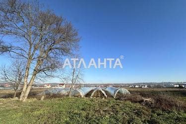 Landplot by the address (area 42,7 acr) - Atlanta.ua - photo 13