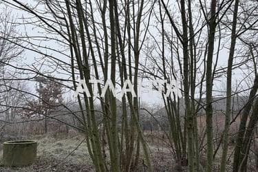 Участок по адресу ул. Есенина (площадь 25 сот) - Atlanta.ua - фото 7