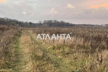 Landplot by the address (area 10 acr) - Atlanta.ua - photo 12